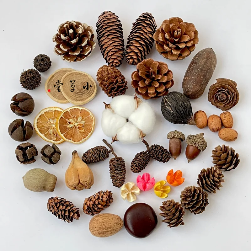 l Dried Flowers And Fruits Decorative DIY Handmade Cisas Scenic Spot ential Oil l Material ell Cone