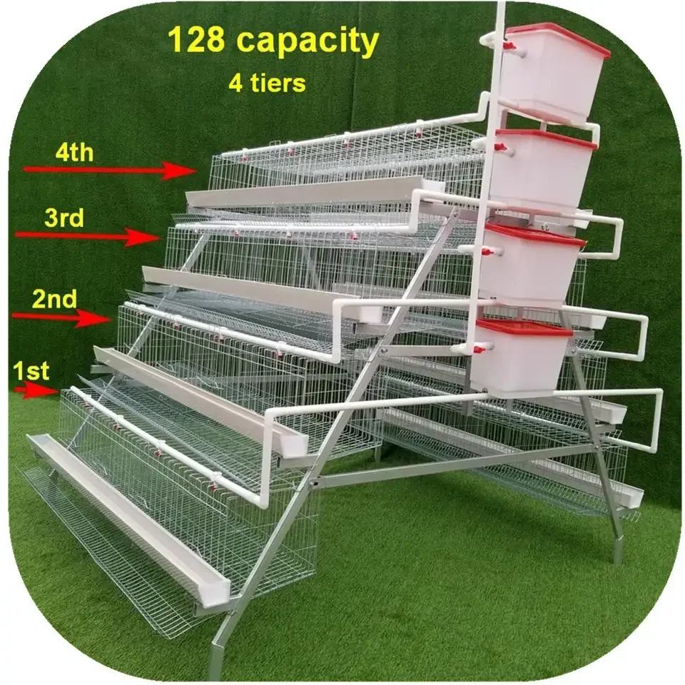 A Type Battery Layer Chicken Cages Automatic Egg Poultry Farming Equipment System
