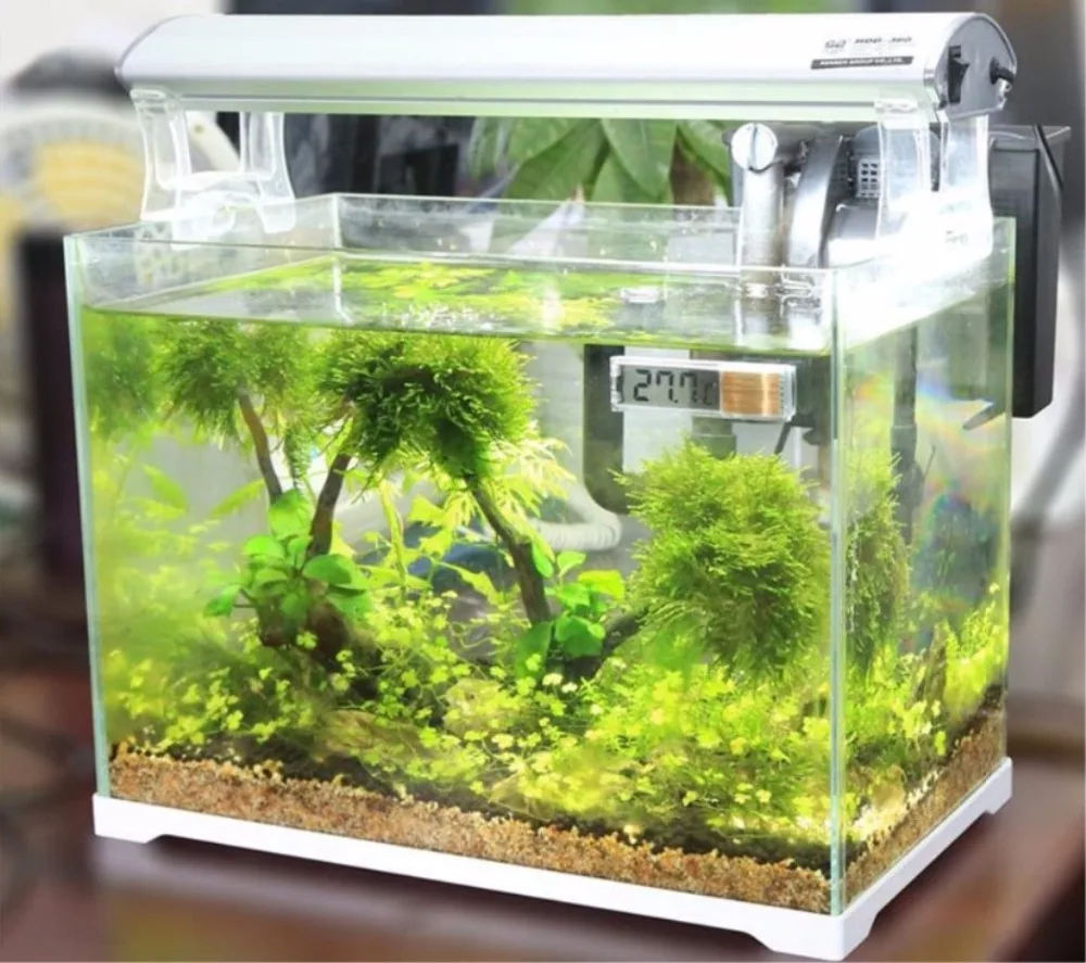 Therye.com-Mesureur de température électronique numérique 3D pour aquarium, mesure de la température des poissons précieux, eau fraîche et salée, E2shopping, 1 pièce