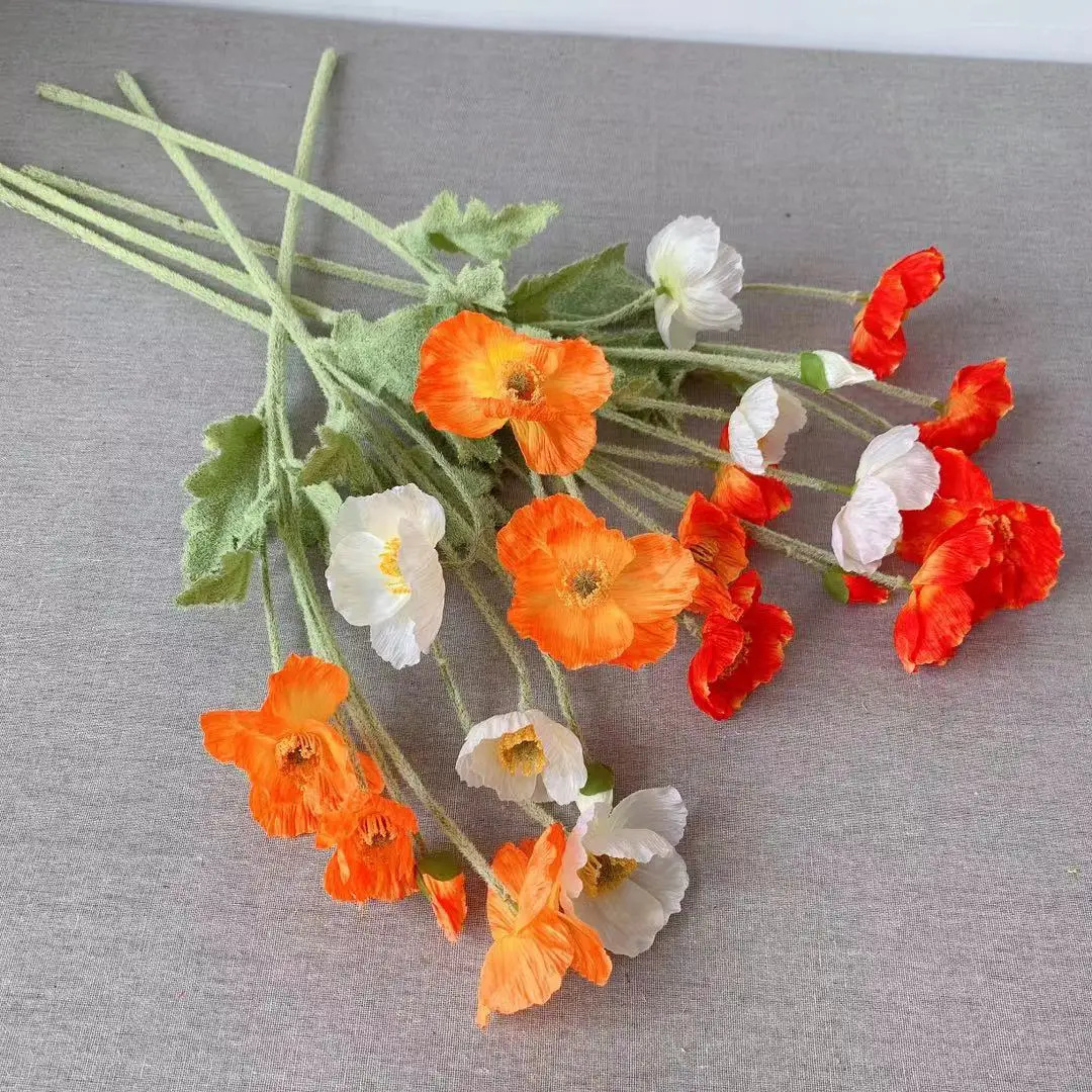    ,   ¥ , Ƽ ǰ,   , DIY ׼
