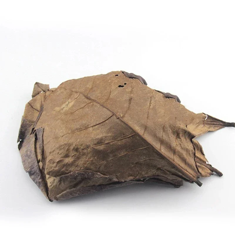 Aquarium Leaves 50pcs Aquarium Almond Leaves Catappa Leaf Fish Cleaning Water Balance PH Acidity