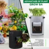 5/7/10 Gallon Fabric Plant Pots Growing Bags 3