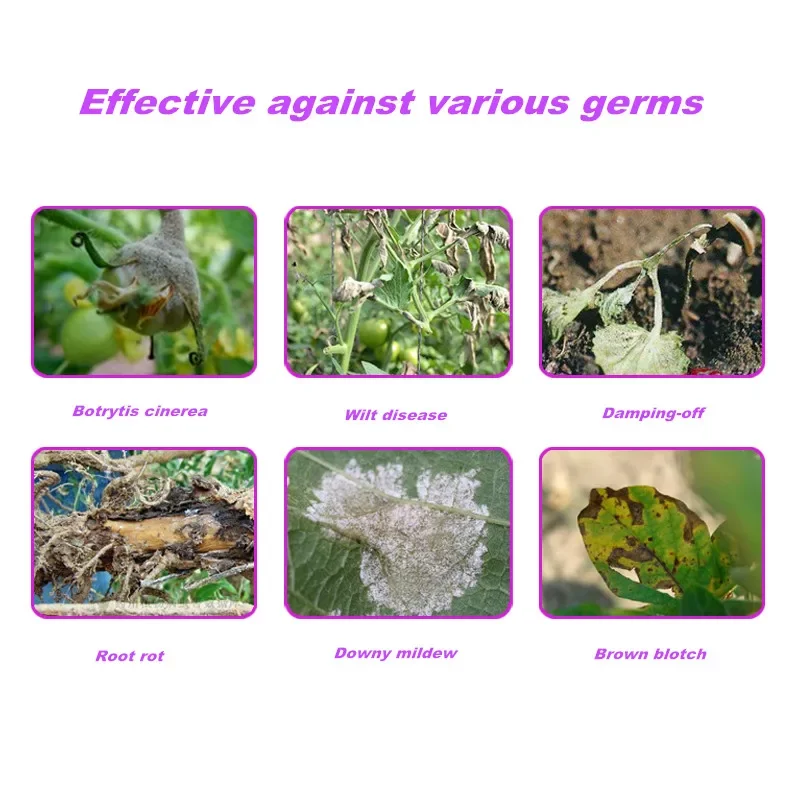 Trichoderma Harzianum Microbial 1000g/Bag Trichoderma Harzianum Microbial Agriculture Bacterial Powdery Mildew Biological Root Rot of Vegetables Fruits