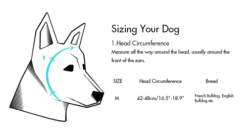 Chapeau d'ourson pour chien - Accessoire mode canin original - 2025 - Vêtement et accessoires pour chiens - Doglovedesign