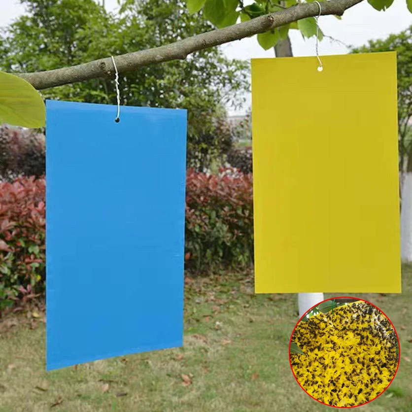 20 Pz Forte Double Sided Sticky Fly Pest Trappole Bugs Garden Plant Insect Catcher Tavola Appiccicosa Trip Killer Trappole Controllo Dei Parassiti