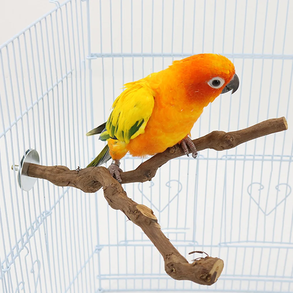 

1pc Pet Bird Perch Rod Parrot Training Toy Standing Rod Toy (Random Style)