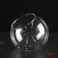 Hydroponic Plant Glass Vase Borosilicate Glass Bottle Succulent Plant Terrarium Container Flower Pots Home Wedding Decor 2