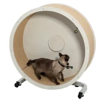 Cat Exercise Wheel Silent Spinning 360° Cat Running Wheel Safety Guardrails & Low Noise Designment 4
