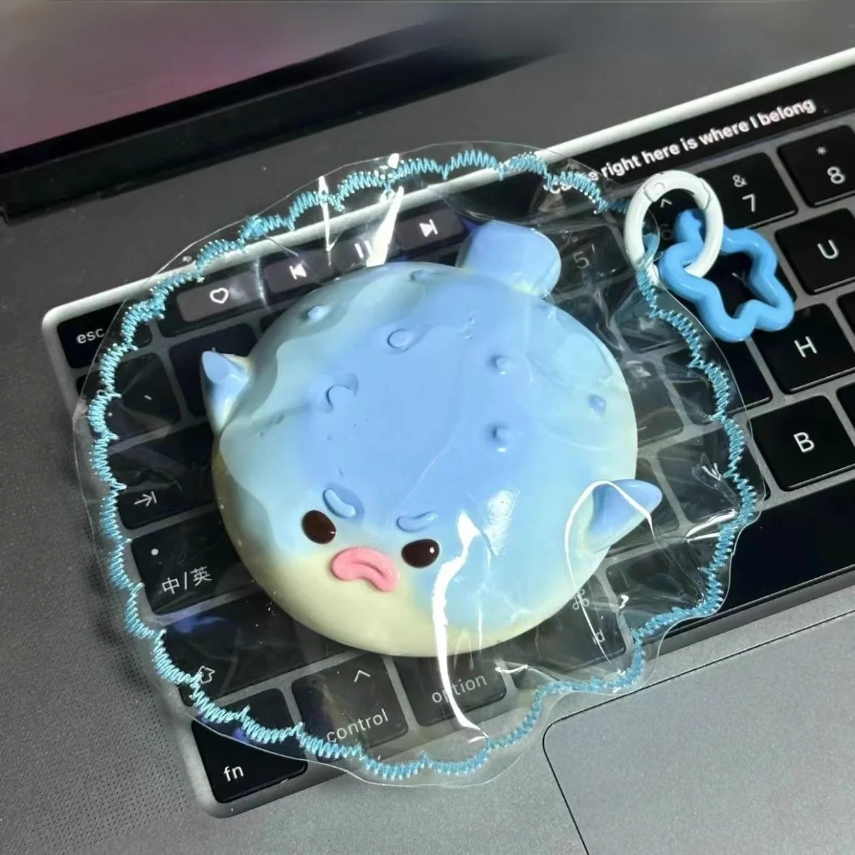 Super Soft Squiy Toy Dolphin Iatable Str Relief Toy Cry Sensation DIY Creative Prank Toy for Teenagers And Adults