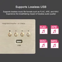 2x250W Active Amplifier 5.0 Bluetooth Pre-Stage Amplifiers 4-8Ω Hi-Res Amp USB Lossless Audio For Home Theater Active Subwoofer 3