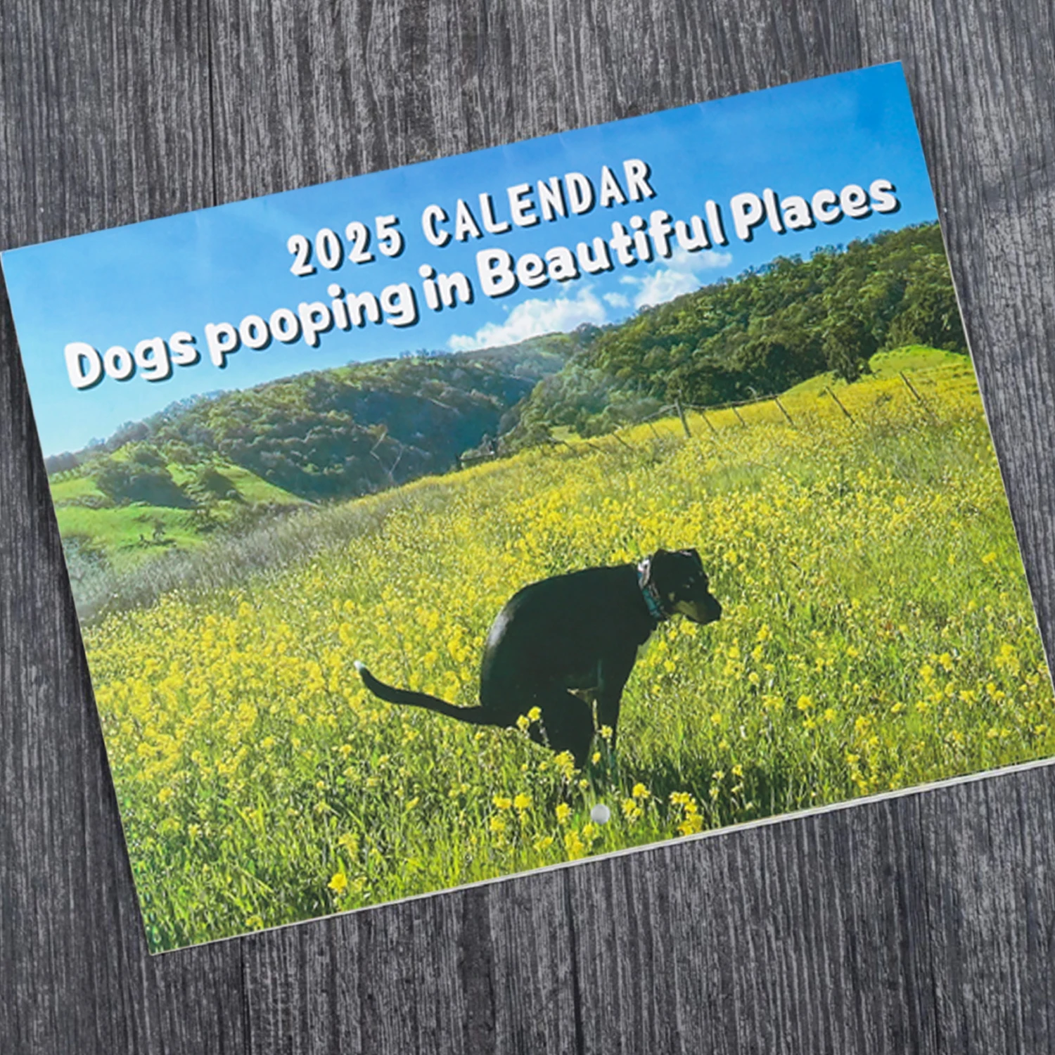 Wall Calendar Funny Dogs Pooping Hangable Daily Weekly Monthly Planner