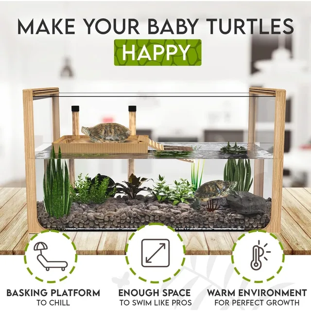 New 2024 - Aquatic Turtle Tank with Filter and Light + Turtle Basking Platform, Small Turtle Tank for Baby 3