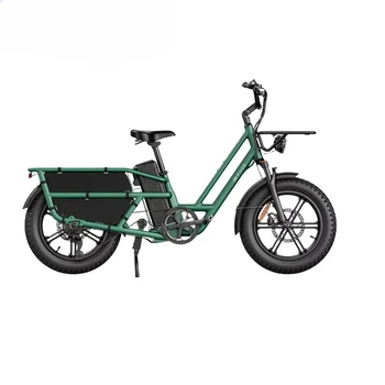 Fiido T2 Long Tail Cargo Ebike mit 250W Motor 48V 20AH Batterie hydraulische Scheibenbremsen Elektrofahrrad 1