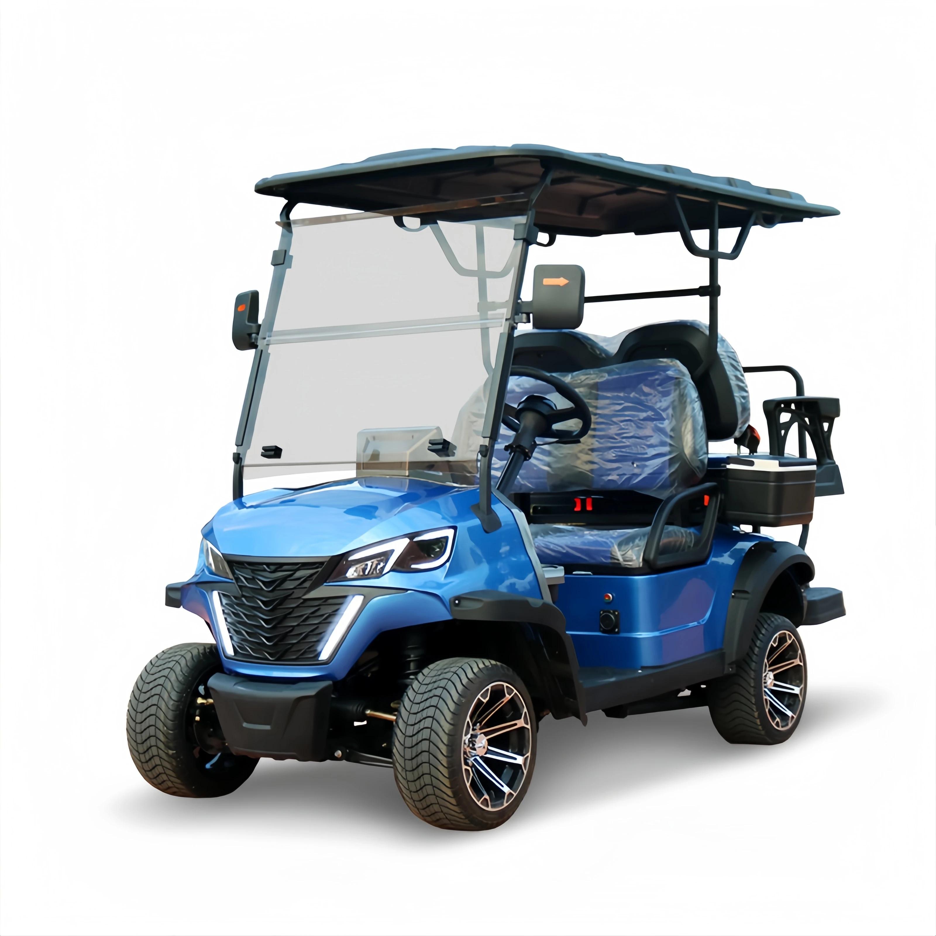 2 4 6 Seat Electric Lithium Battery Golf Cart with luxury seat Hunting Golf Buggy car with DOT CE EEC