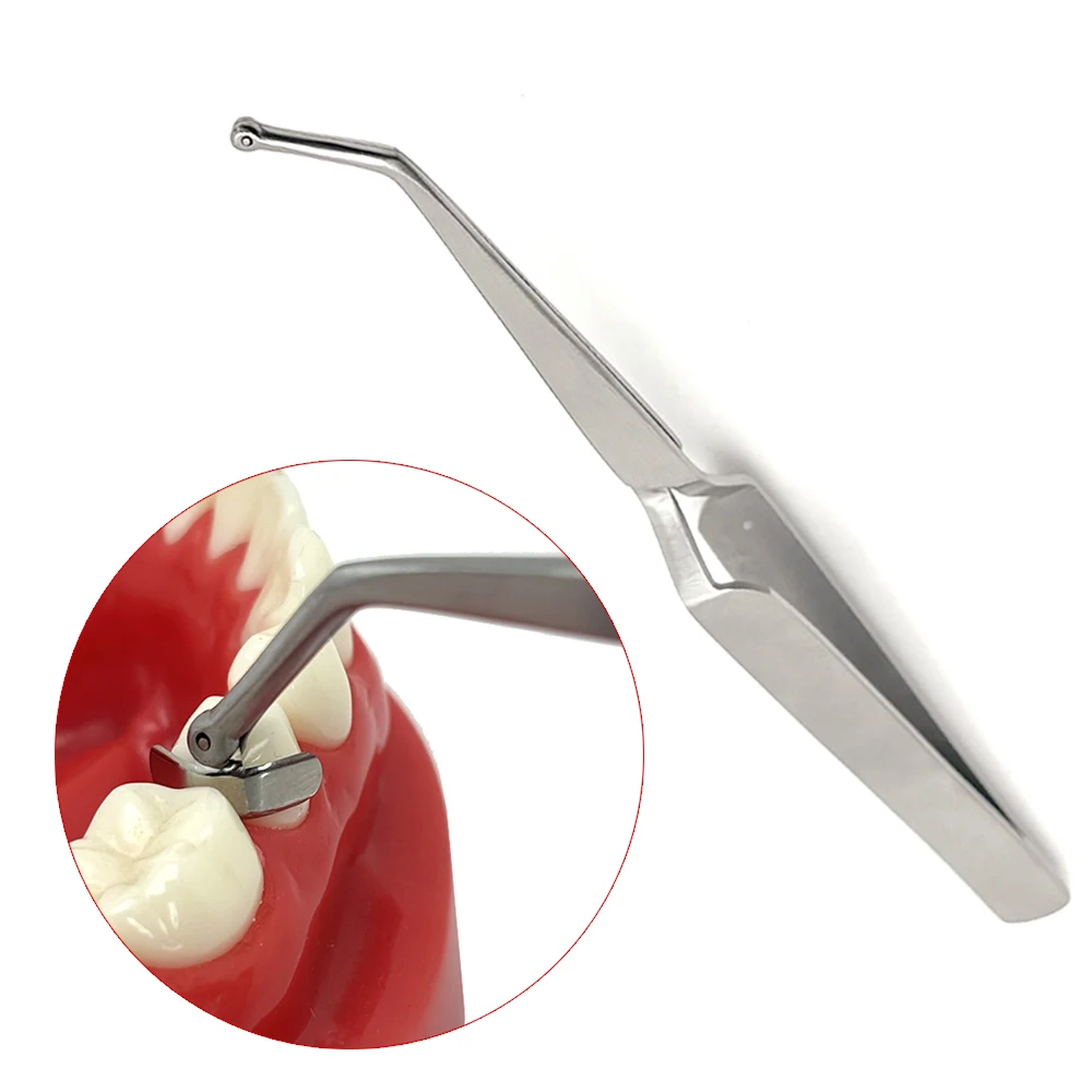 Dental Matrix Holder Clamp 15Cm Sectional Matrix Forceps for Dental ...