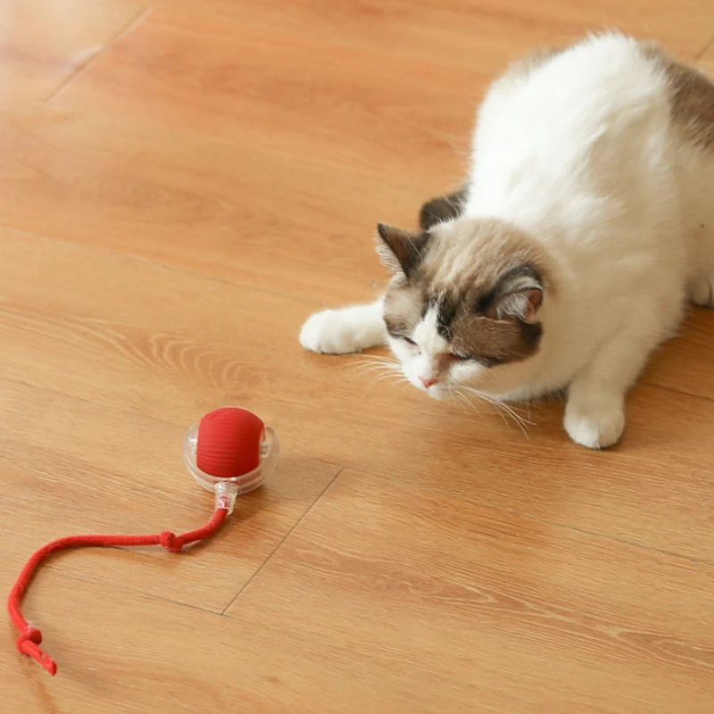 Cat Interactive Ball Toys Cat Interactive Ball Toy Automatic Rolling Ball with Tail Rechargeable Smart Pet Interactive Toy Intelligent Mouse for Cat