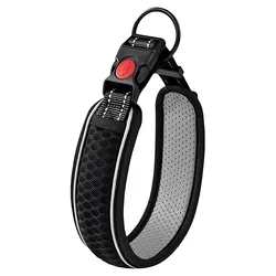 Reflective Adjustable Dog Collar for Walking - Durable Outdoor Strap for All Sizes (Black)