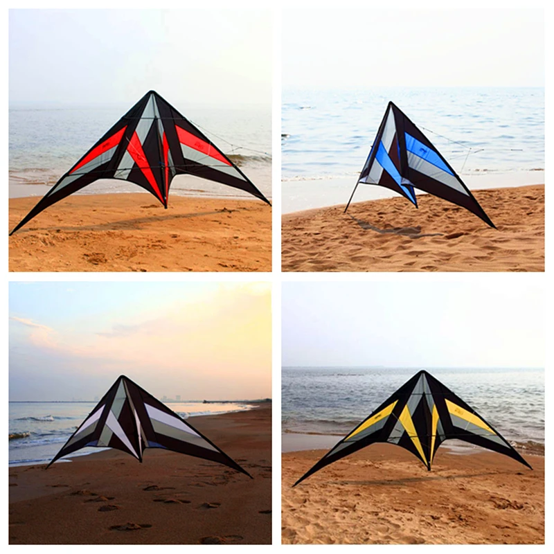 Spedizione Gratuita 250Cm Professional Stunt Kite Falcon Aquiloni Factory Freilein Kite Dual Line Per Adulti Bird Spaventapasseta Kite Wind Surf