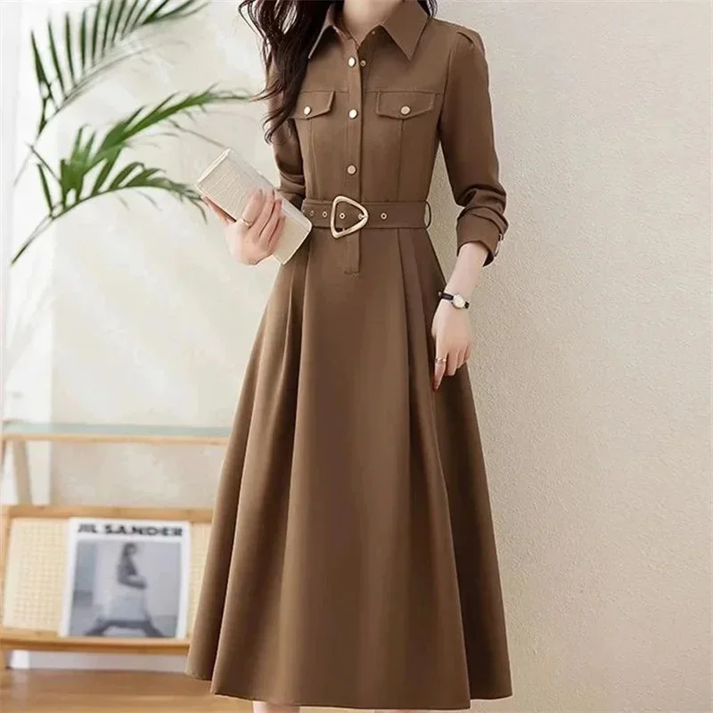 Spring Autumn Dresses Women's 2026 New Long Sleeve Temperament Female Dress Elegant Mid Ladies Vestidos