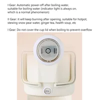 220V 800ml Outdoor Electric Kettle Folding Kettle Boiling Water Mini Portable Travel 304 316 Stainless Steel Kettle Electric 2