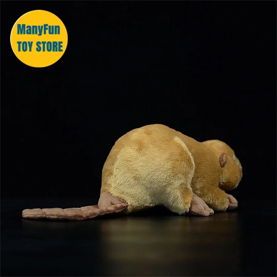 Beaver High Fidelity Anime Cute Otter Plushie Lutra Plush Toys Lifelike Animals Simulation Stuffed Doll Kawai Toy Gifts For Kids 3