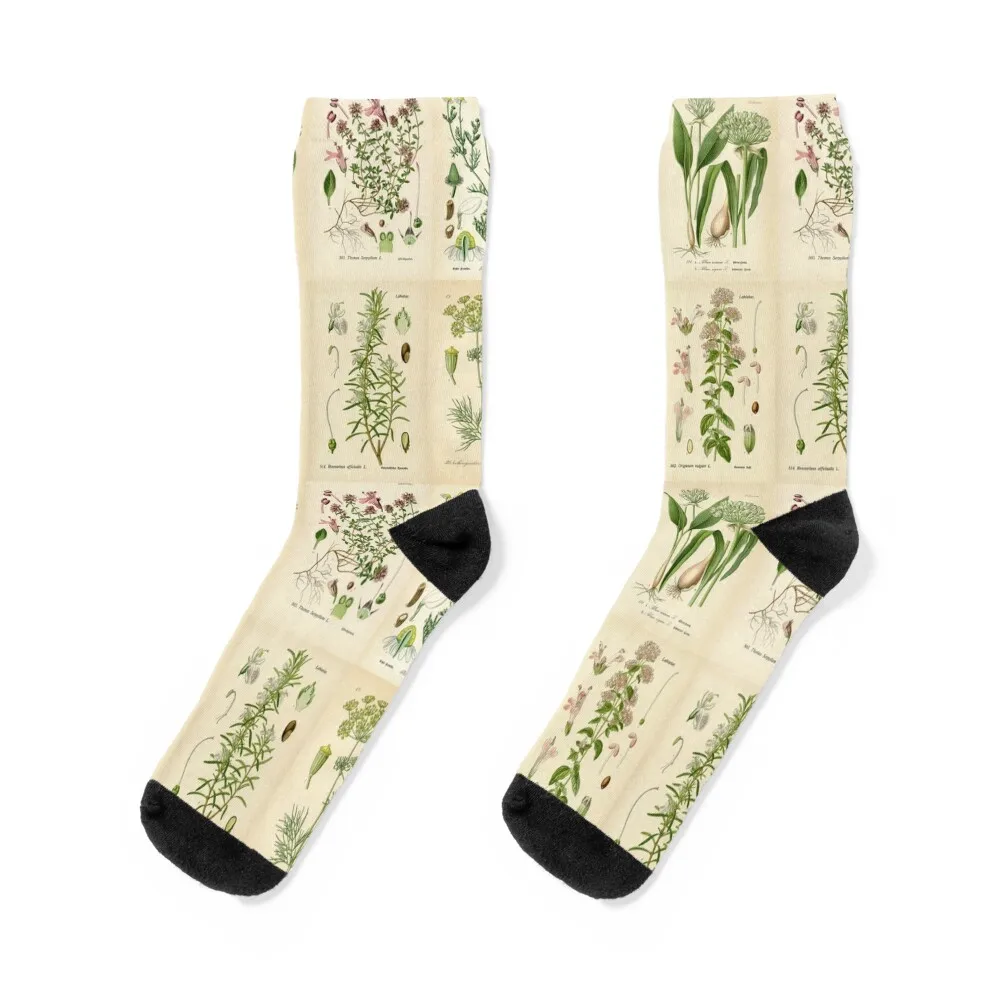 

Apothecary Herbs Vintage Botanical Plants Cottagecore Socks Stockings ankle luxury Socks Women Men's