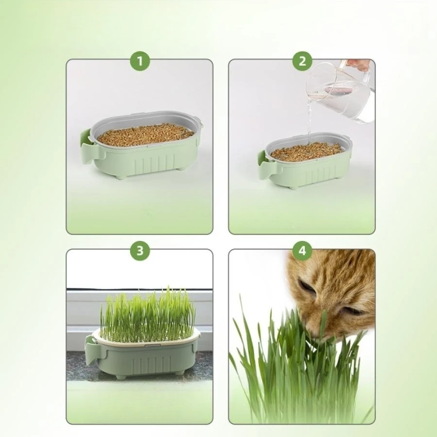 Soilless hydroponic growing cup Hydroponic cultivation hydroponic growing cup