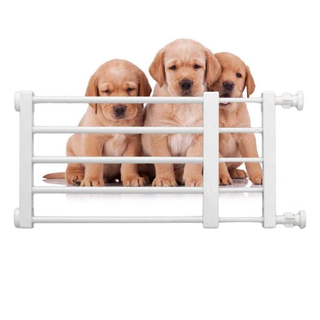 Barrière de sécurité en acier pour animaux de compagnie, barrière pour chien  courte, clôture isolée pour chiot, garde à domicile, fournitures pour  animaux de compagnie, séparation, enfants - AliExpress