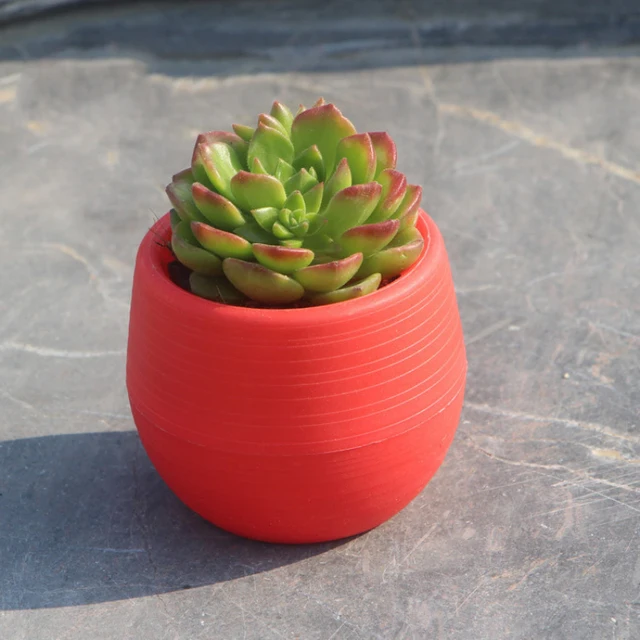 1Db Mini Virág Edény Kerek Ültetvények Cukorkás Színű Növények Bonsai Fű Pozsgás Virágcserepek Háztartási Dekoráció Kerti Kellékek - Image 6