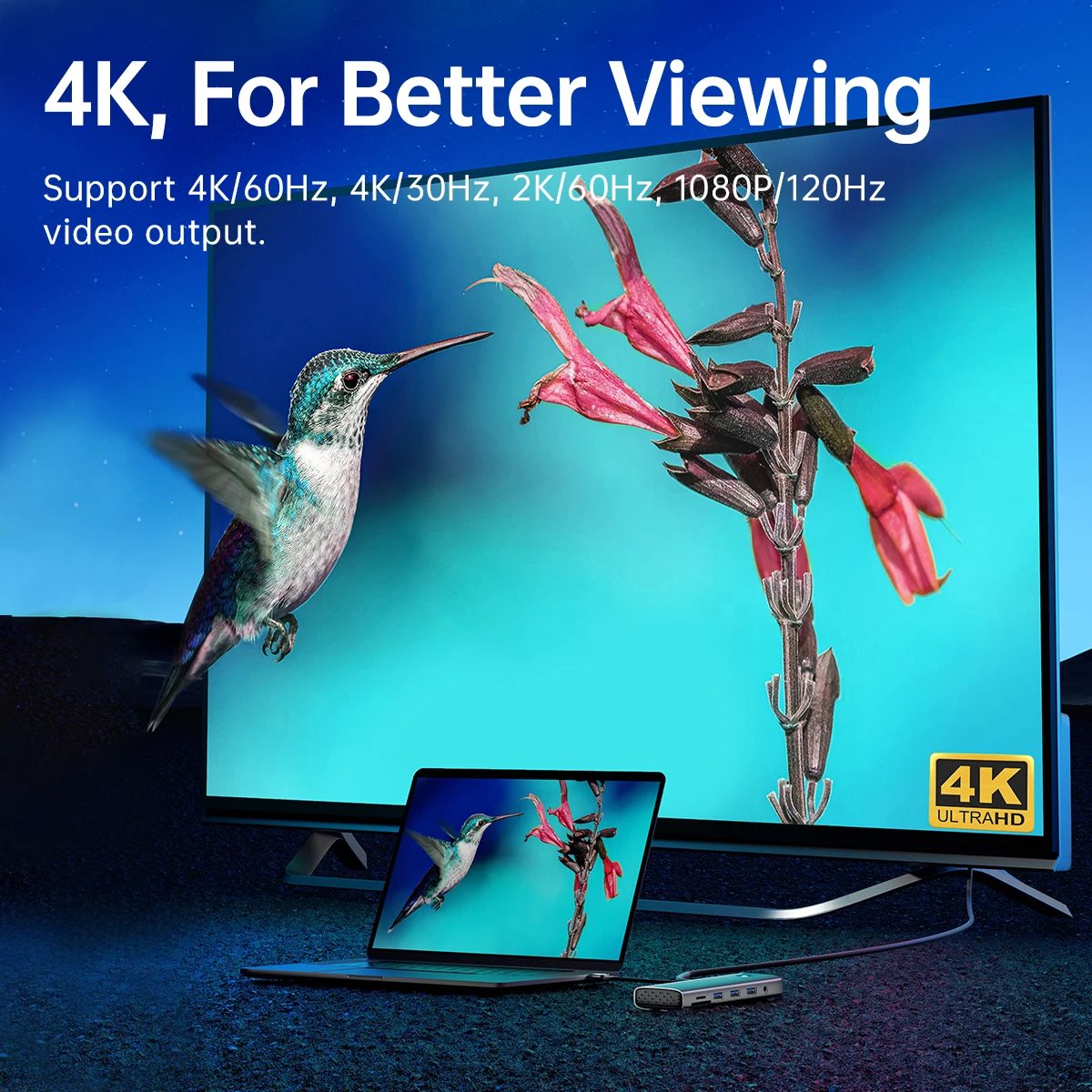 461892-dae8e8.jpg