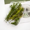 Height 10cm Simulation Long Leaves Reed Grass Model Diy Military Sand Table HO Railway Train Scene Layout Diorama Kits 4