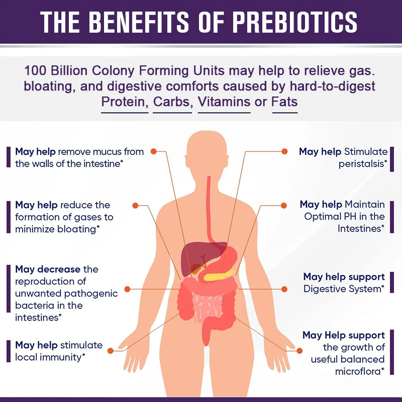 Organic Enzymes Probiotic Capsule 100 Billion CFU Probiotics Nutrient Digestion & Gut Health Women & Men