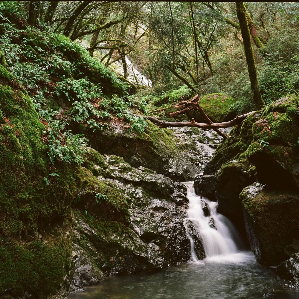 Kodak 120 Color Film Ektar 100 Professional Negative Film Medium Format Camera ISO100 Fine Grain