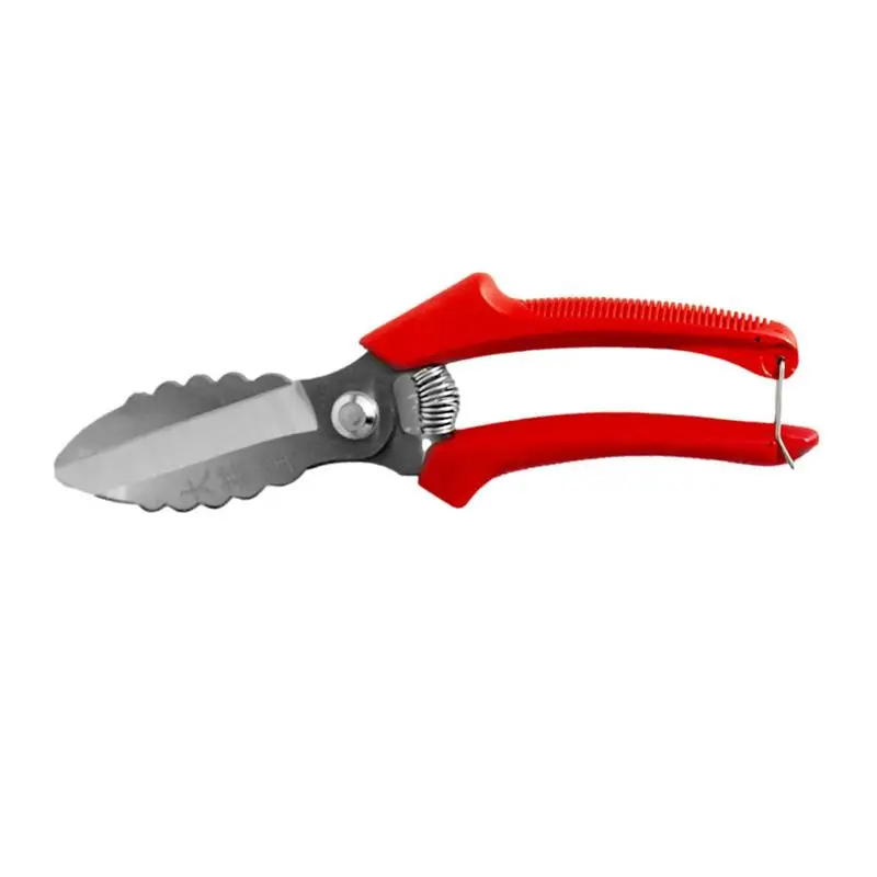 

Garlic Scissors Cooking Cutters For Kitchen Food Cutter Tools Cooking Scissors For Kitchen Professional Vegetable Cutters