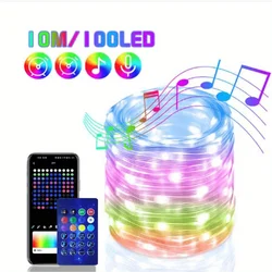 Smart App-Controlled RGB LED Fairy String Lights - Dreamcolor Festive Decor (10m Smart LED String)