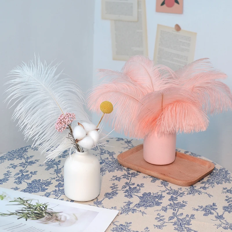 Ostrich Feathers, Craft Feathers, Natural Feathers, 10Pcs Ostrich Feathers for Handicraft