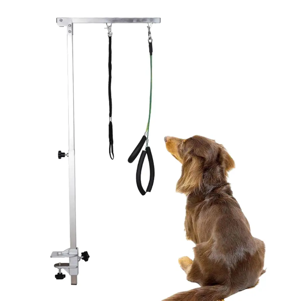 TOOSOAR Braccio Pieghevole Per Toelettatura Cani E Gatti – Regolabile In Altezza, Con Morsetto E Cappio, Supporto Anti-Seduta, Adatto A Razze Grandi E Piccole, Argento