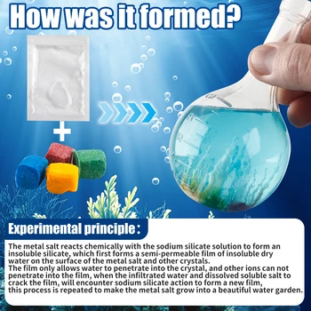 DIY Water Magic Mini Growth Stones, Science Toys, Christmas/Halloween/Thanksgiving/Easter/New Year Gifts 5