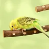 Natural Wood Bird Parakeet Stand Branch Fork Perch Rod Stand Paw Grinding Stick Bird Cage Accessories for Pet Budgies Cockatiels 4