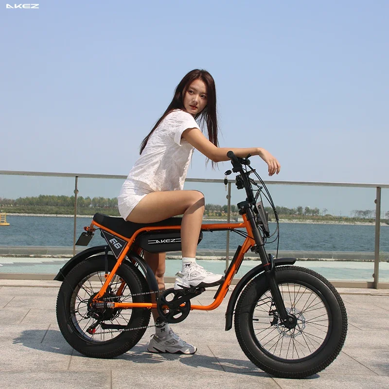Electric bicycle 750W motor 48V13A lithium battery mountain snow e bike adult electric motorcycle 20*4.0 fat tire electric bike