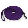 LS Purple
