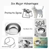 15° Tilted Cat Bowl, Elevated Cat Bowls - for Small Cats/Dogs,Indoor Stainless Steel Anti-Vomiting Pet Bowls,Spine Friendly 3