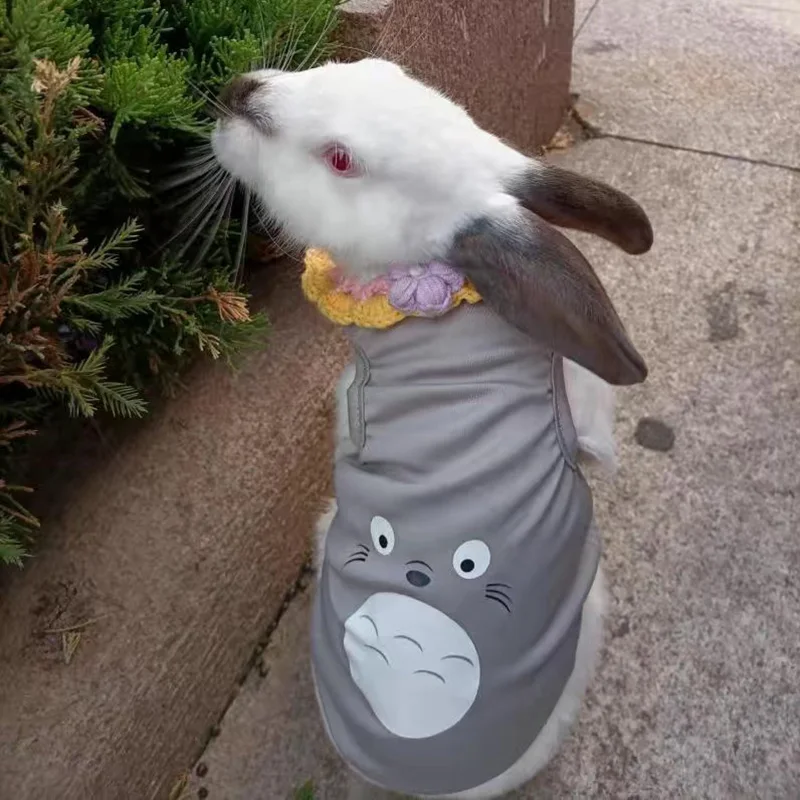 Pet clothes Summer Rabbit Cat Clothes Cute Cartoon Pet Vest for Cats Rabbits Bunny Clothing Kitten Sphynx Pullover Outfit ropa para gatos