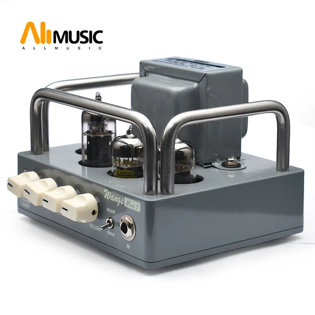Conform Evakuering krave Electric All Tube Guitar Amplifier Head Biyang Wangs MINI 5 AMP Head Adjust  Volume And Tone - AliExpress