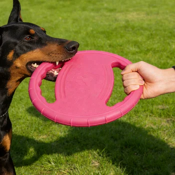 EVA Dog Flying Disc 1