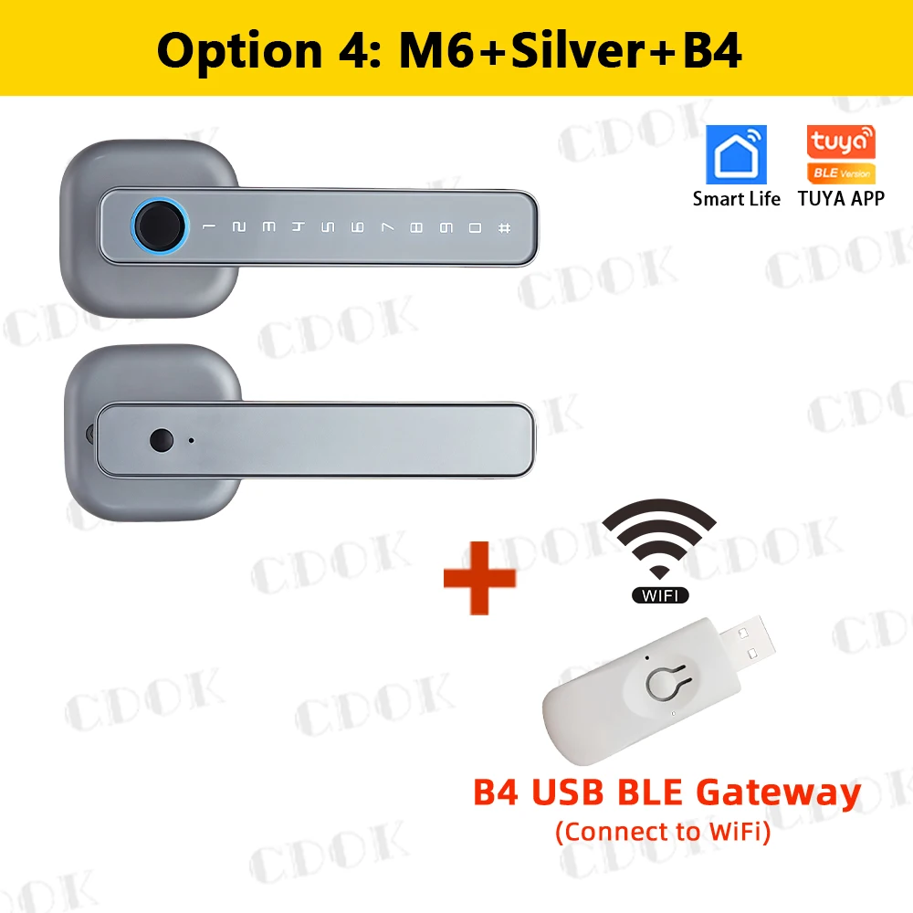 3790-M6-Silver-B4