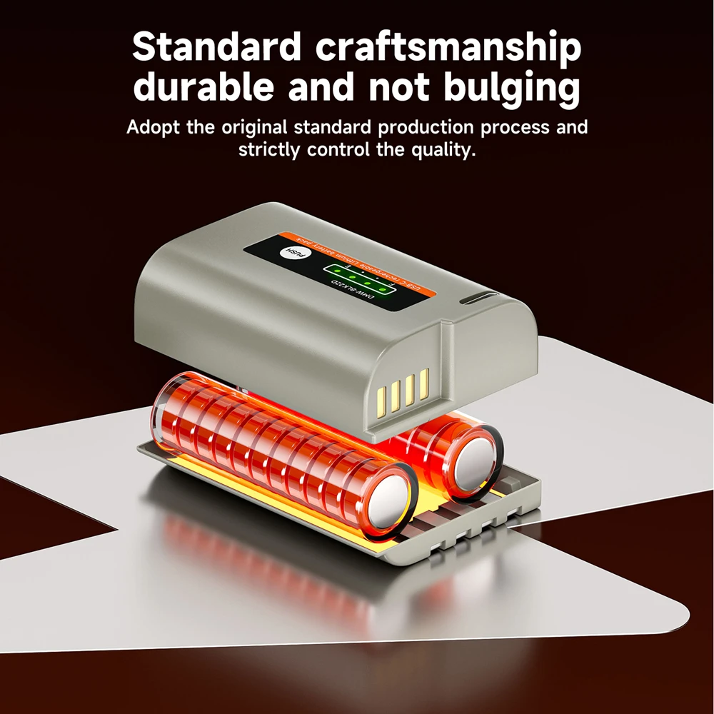 2500mAh DMW-BLK22 BLK22 バッテリー タイプ C USB 付き パナソニック