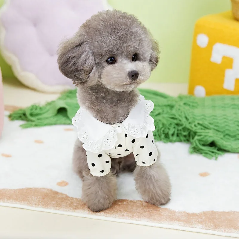 애완동물 폴카 도트 티셔츠, 얇은 통기성 강아지 가디건, 요크셔 테디, 두 다리 옷, 애완동물 의류, 여름 신상