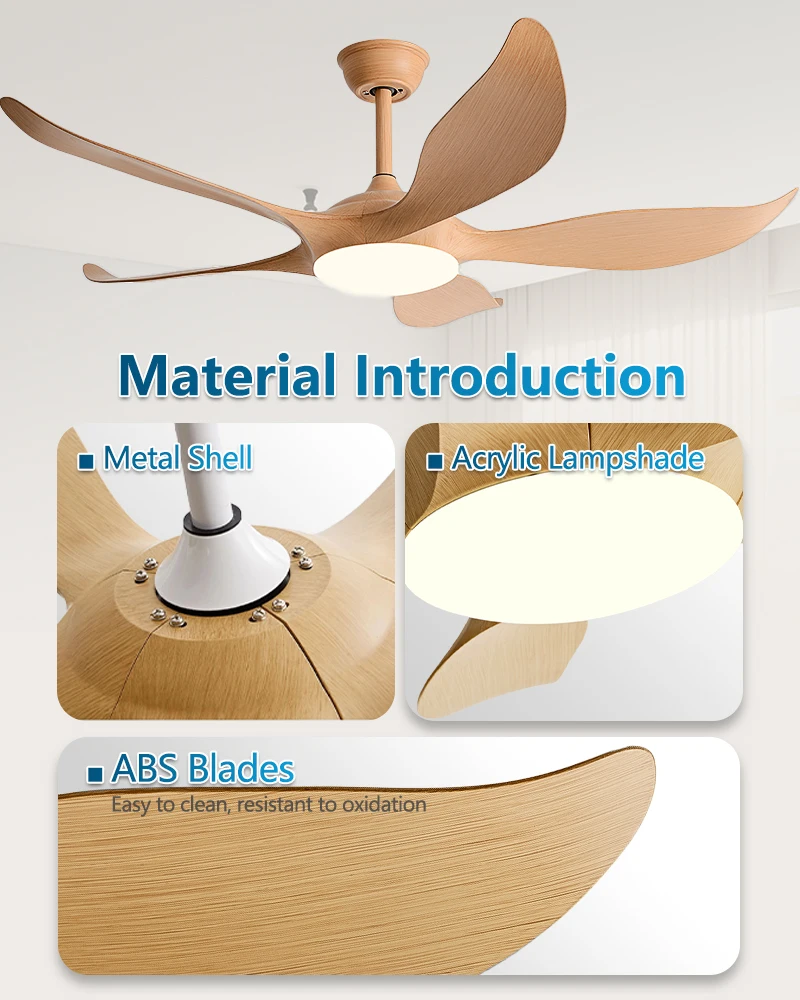 Adjustable Ceiling Fan