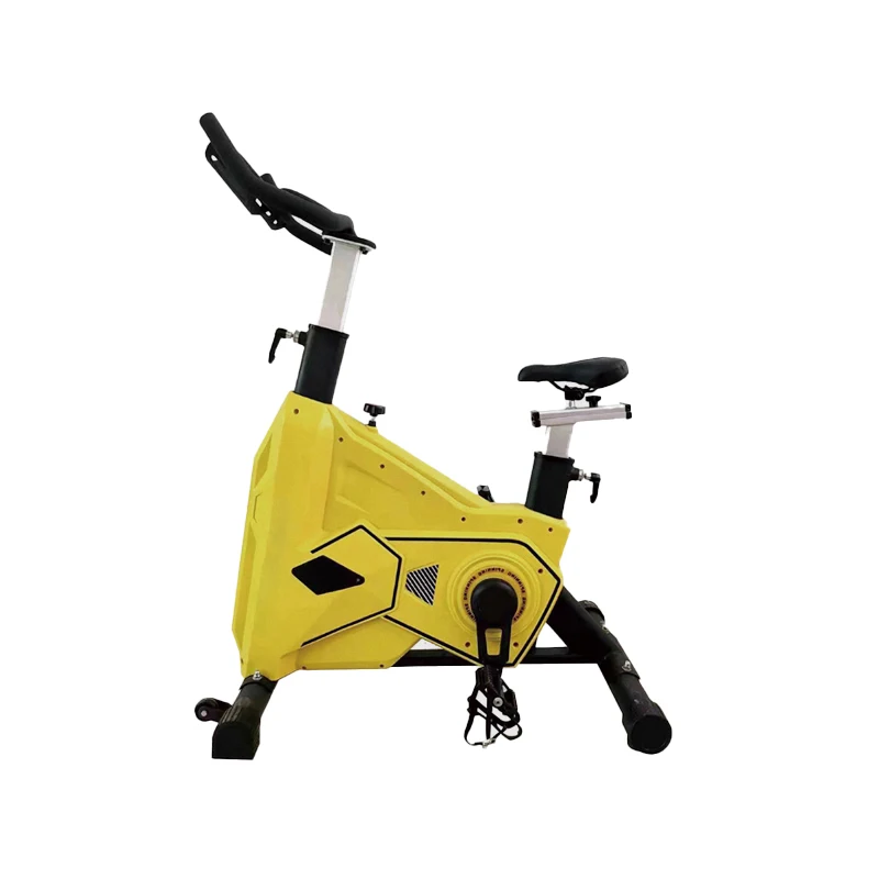 Gym Exercise Spinning Bike Indoor Commercial Professional Cardio Training Spinning Bike